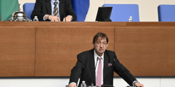 Мъж говори пред парламента.